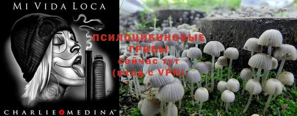 мяу мяу мука Алексеевка