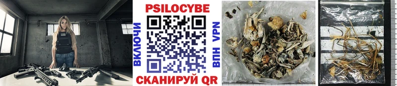 ссылка на мегу вход  Беслан  Псилоцибиновые грибы Cubensis 